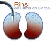 Nefrologia e Nefrologista em Nilópolis